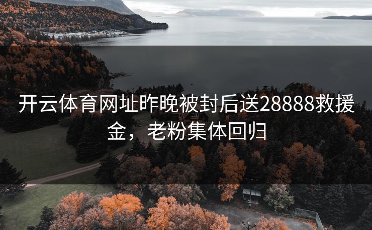 开云体育网址昨晚被封后送28888救援金，老粉集体回归