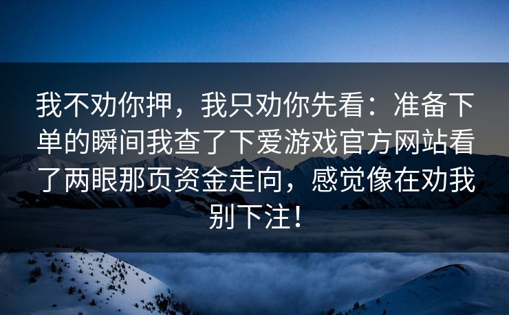 我不劝你押，我只劝你先看：准备下单的瞬间我查了下爱游戏官方网站看了两眼那页资金走向，感觉像在劝我别下注！