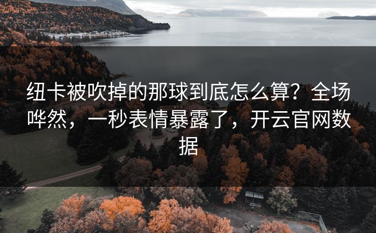 纽卡被吹掉的那球到底怎么算？全场哗然，一秒表情暴露了，开云官网数据