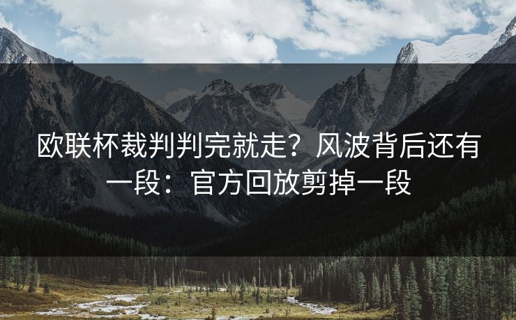 欧联杯裁判判完就走？风波背后还有一段：官方回放剪掉一段